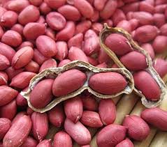 Groundnut Seeds