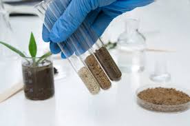 Soil Testing Service