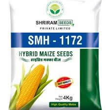 Maize Seeds (Hybrid)