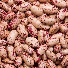Bean Seeds