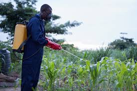 Crop Spraying Service